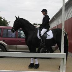 Frieser Oukje (Nellie)