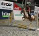 Anden særlig race Jolly Jumper