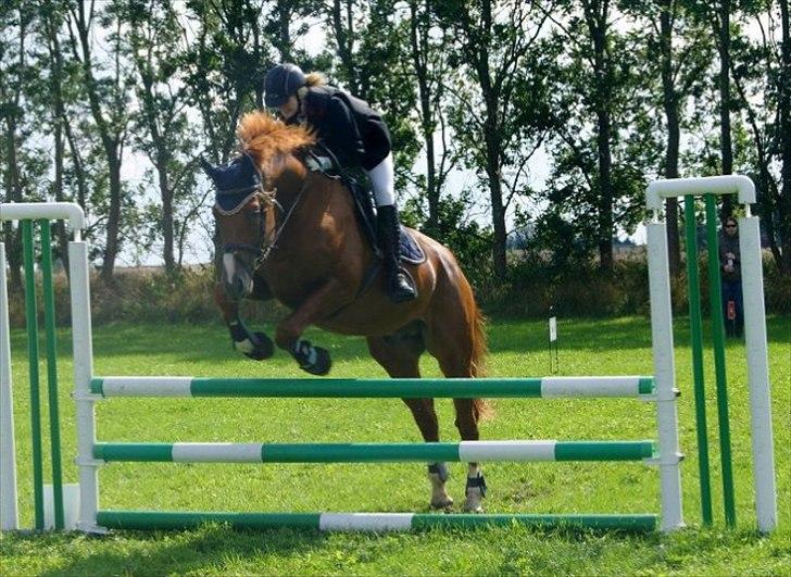 Oldenborg Kubriano langmose - 28/8 - 11 - Holbæk mesterskab - Taget af Sarah Koefoed billede 4