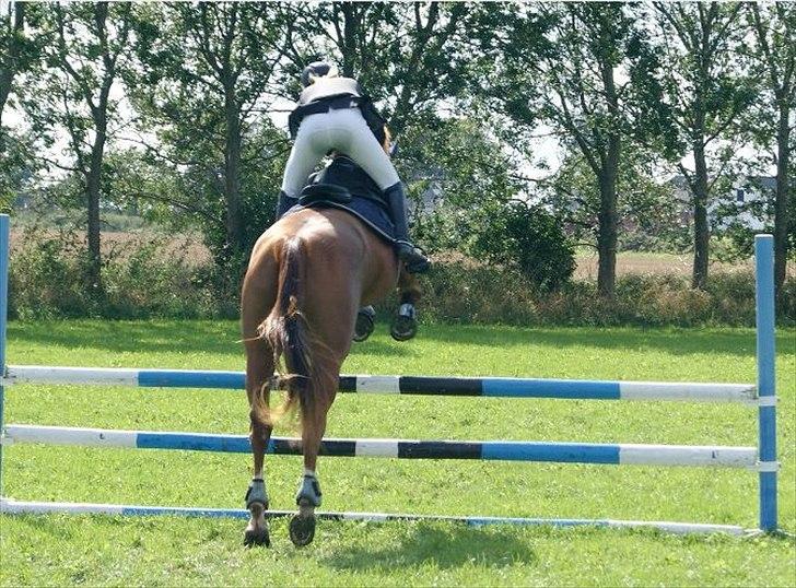 Oldenborg Kubriano langmose - 28/8 - 11 - Holbæk mesterskab - Taget af Sarah Koefoed billede 19
