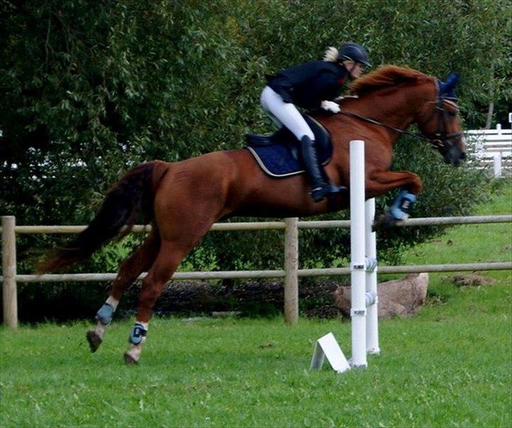 Oldenborg Kubriano langmose - 28/8 - 11 - Holbæk mesterskab - Taget af Sarah Koefoed billede 1