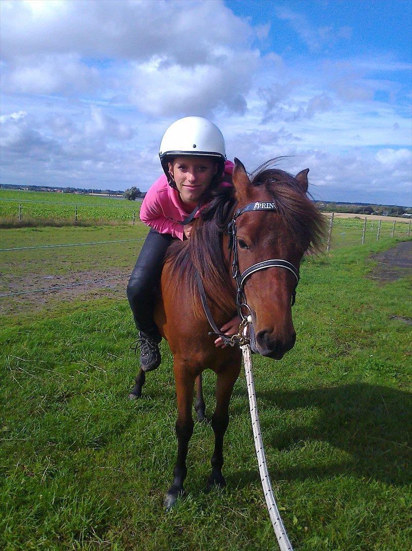 Gotlandsruss Hellestruplunds Geena (lånehest) - 2 gang Geena har en på ryggen - er så stolt af hende . . billede 7