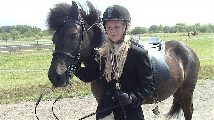 Islænder Hvítasunna - sølvmedalje vinder ved dm 2011 i 4.1ju, my one and only hvita <3  billede 3