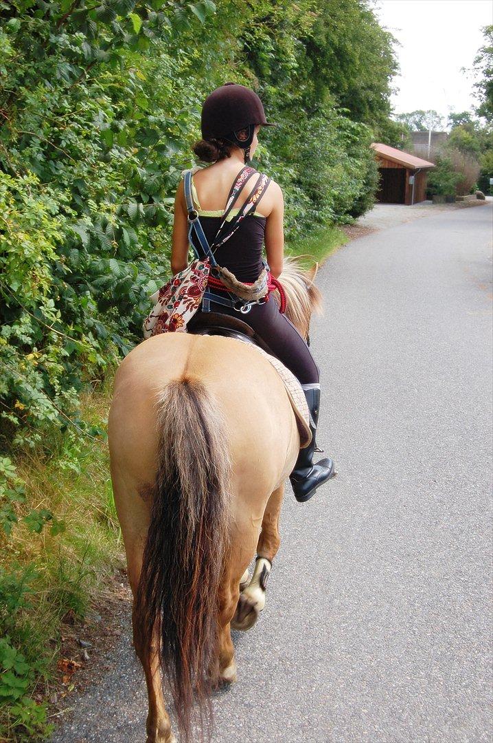 Anden særlig race Buller - På tur med Anne og Lotte. billede 2
