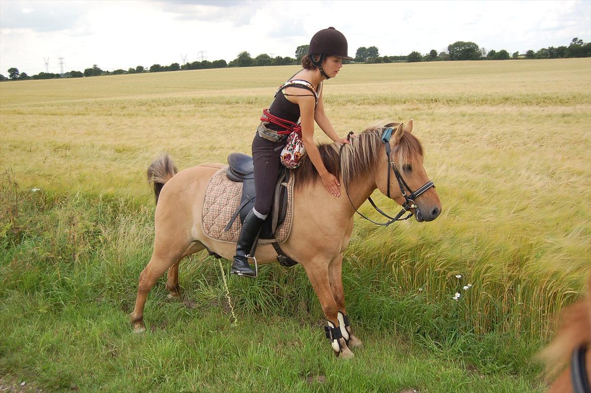 Anden særlig race Buller - TIIIIS :S billede 5