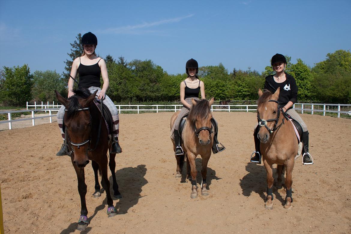 Anden særlig race Buller - Mine bedste veninder! elsker jer! billede 13