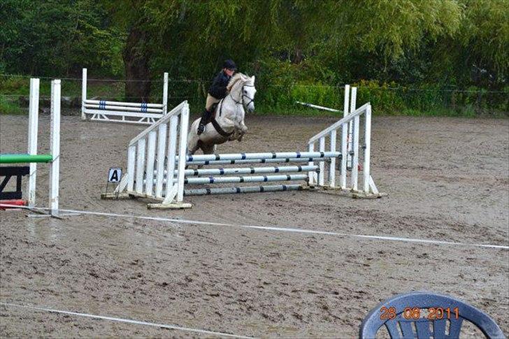 Anden særlig race milan billede 3