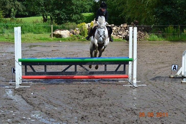 Anden særlig race milan billede 6