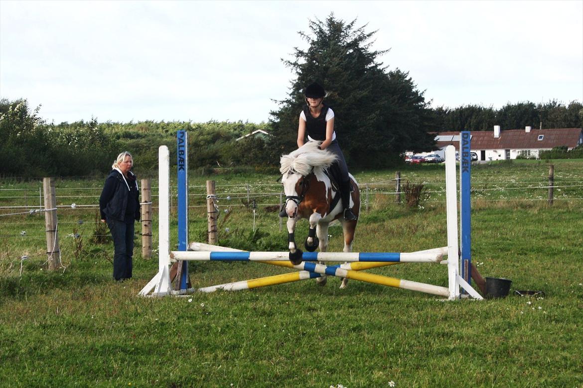 Pinto Flicka - - [Den 31-08-2011] - 1. gang på græs-bane. Hun var bare så fantastisk! <3 billede 18