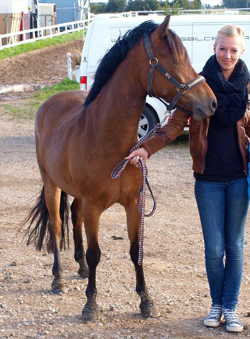 Anden særlig race Skovbys Chester Brown - Da vi var ude at aflevere ham. Savner ham allerede :-( Øjesten<3 billede 18
