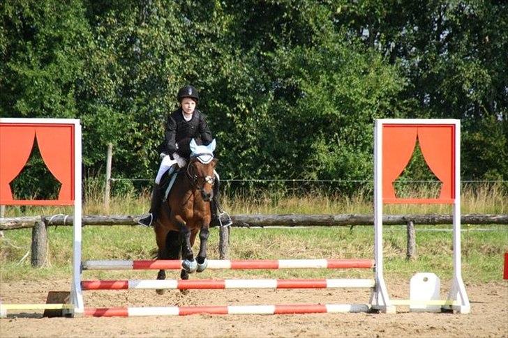 Anden særlig race Nemo - Springstævne på Kærbo.
60 cm sløjfe, første stævne sammen. :) billede 2