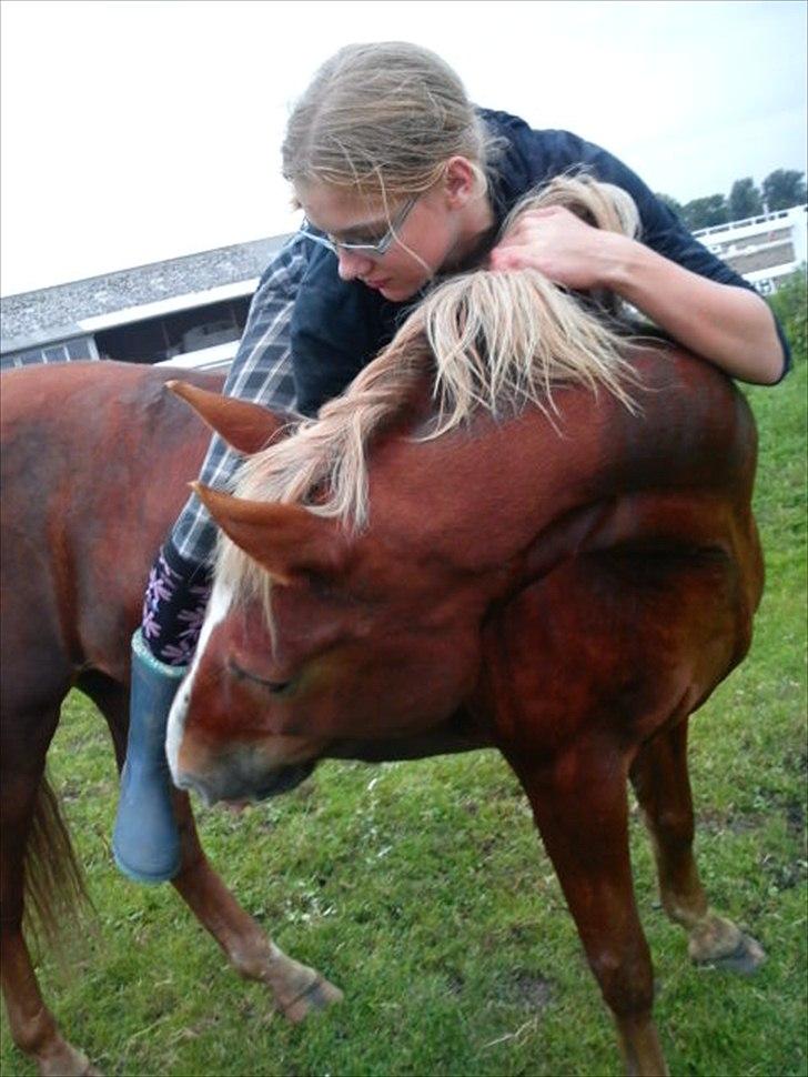 Anden særlig race Lukas! - Lukas og miig hygge på folden :D<3 billede 4