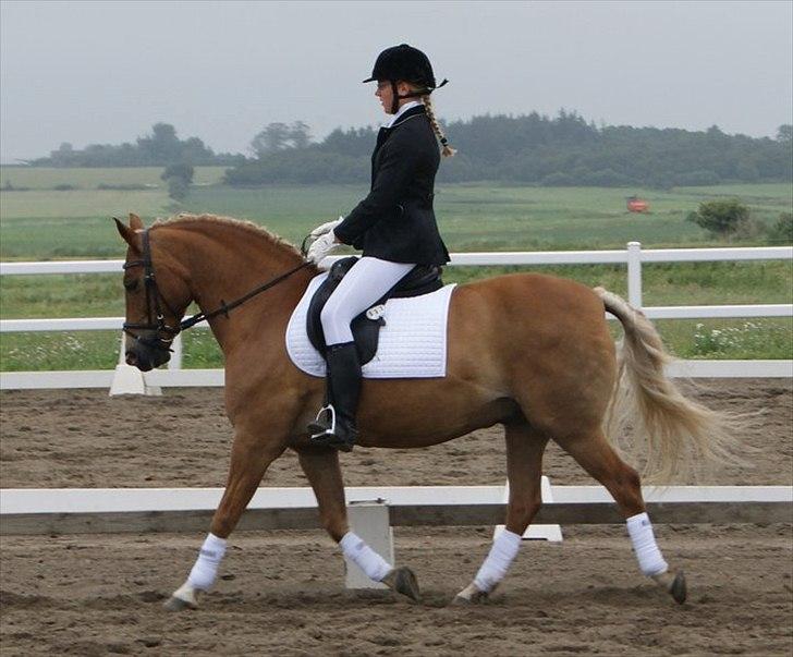 Anden særlig race Lukas! - Opvarmning til stævne 3. juli 2011 - KÆGR billede 18