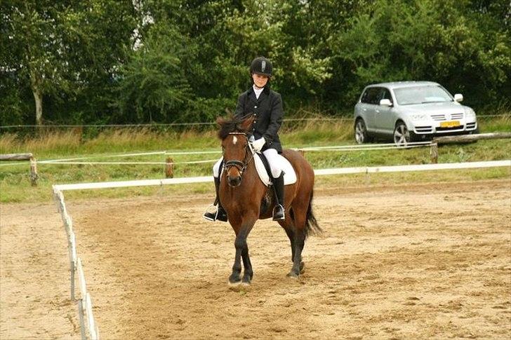 Anden særlig race Nemo - Dressurstævne på Kærbo.
lc1. billede 17