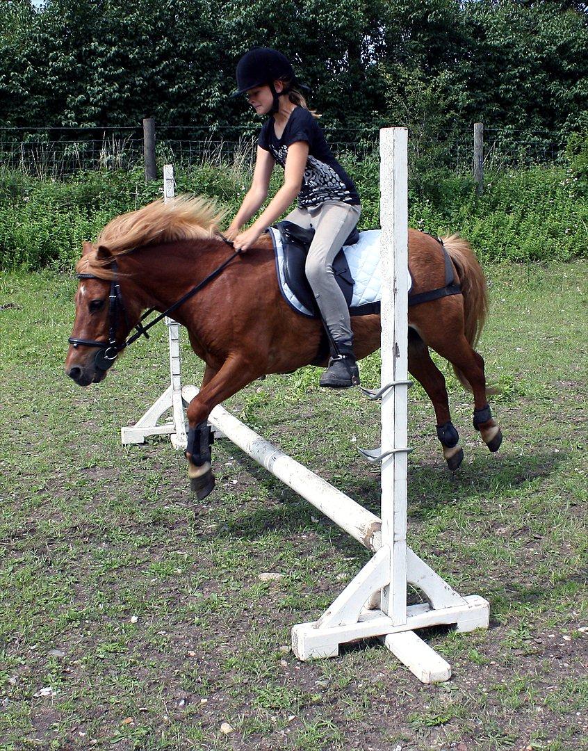 Anden særlig race Kasper - Isabella og Kasper midt i et spring. billede 10