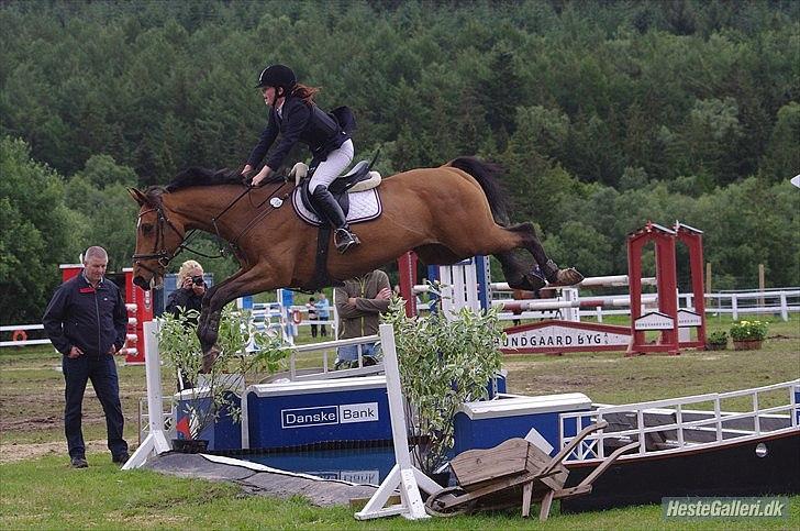 Hollandsk Varmblod Troy-T RIP D. 10/6-2013 - Troy som viser hvordan man springer till på en vandgrav. og man ikke engang er tæt på at lande i vandet billede 5