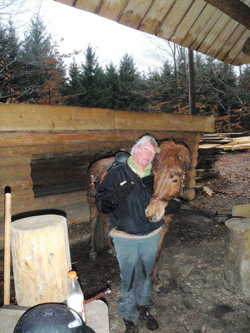 Islænder Embla fra Grønvang - En skøn og våd efterårsdag i Gribskov billede 4