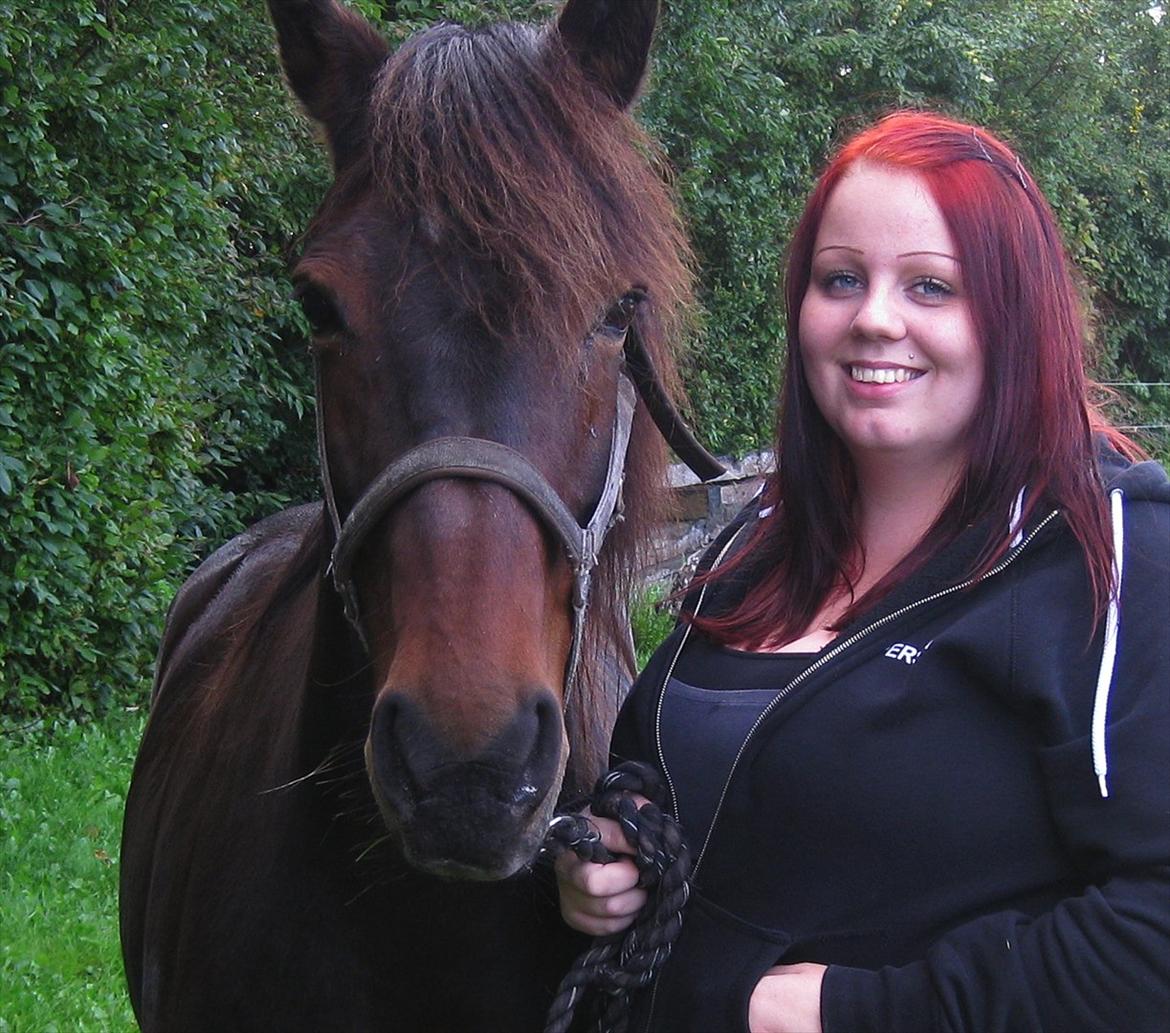 New Forest Cirkeline  billede 1