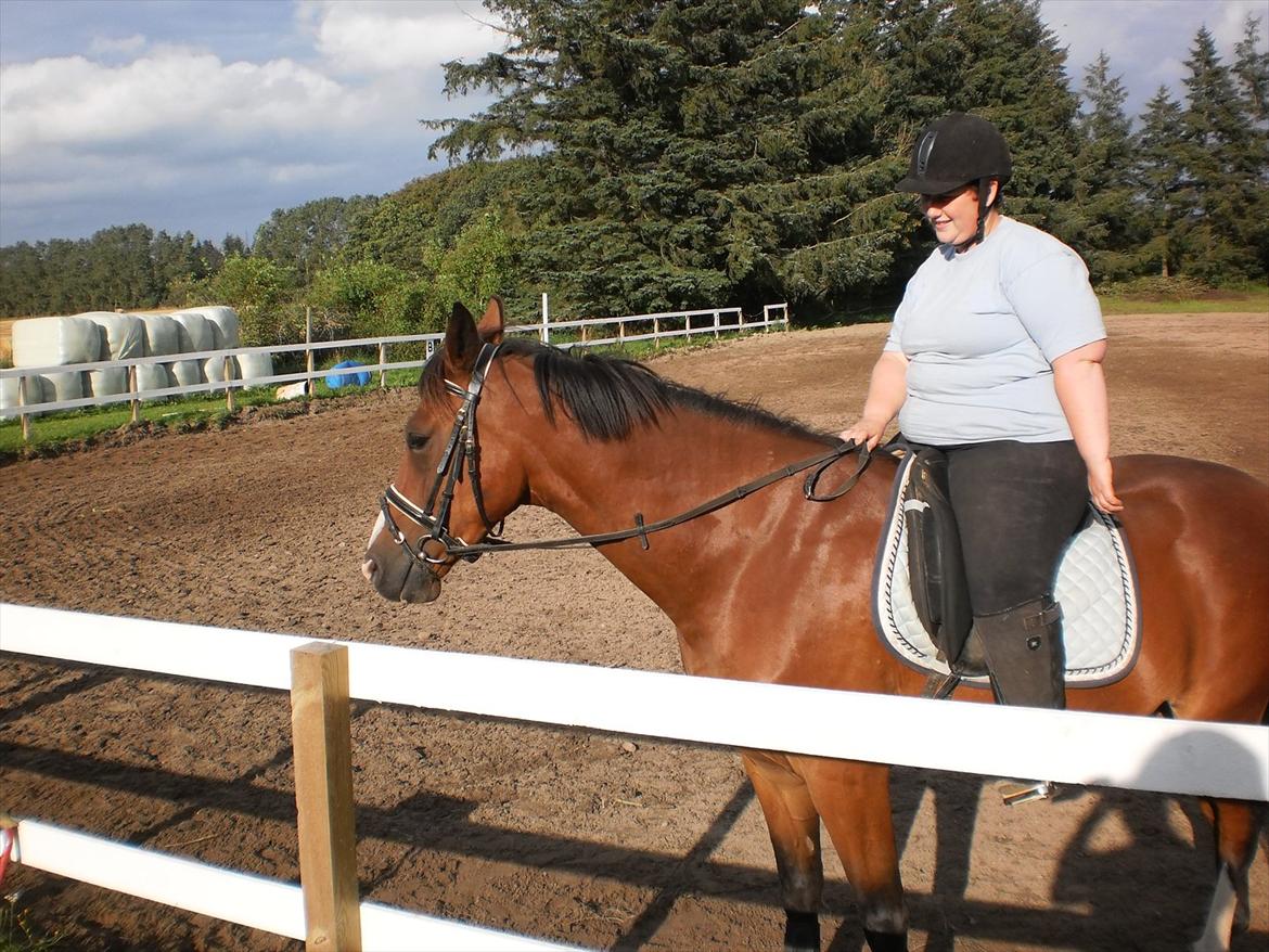 Anden særlig race Lazal << SOLGT >> - er vi ik snart færdige?? billede 7