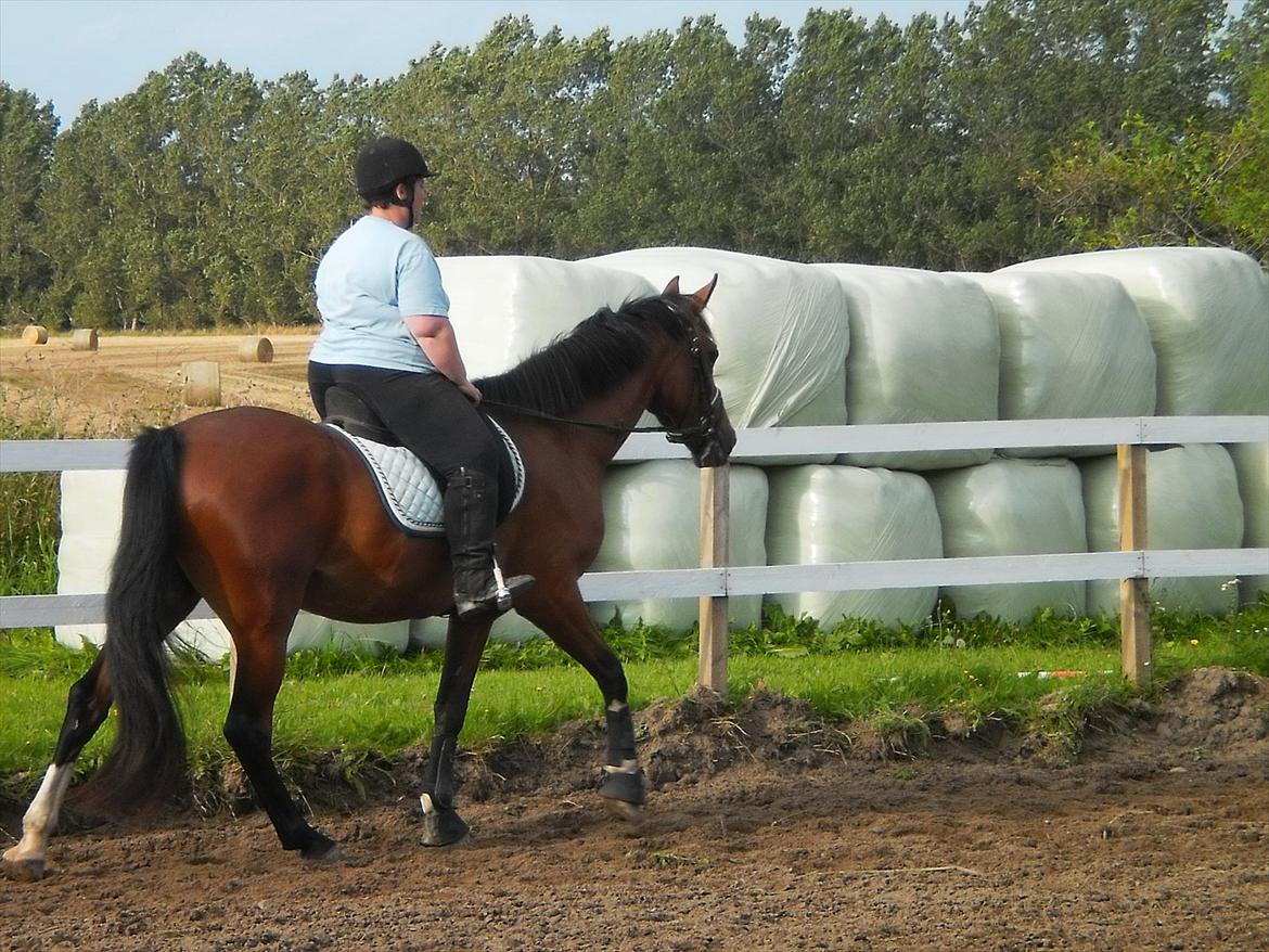 Anden særlig race Lazal << SOLGT >> - <3 billede 9