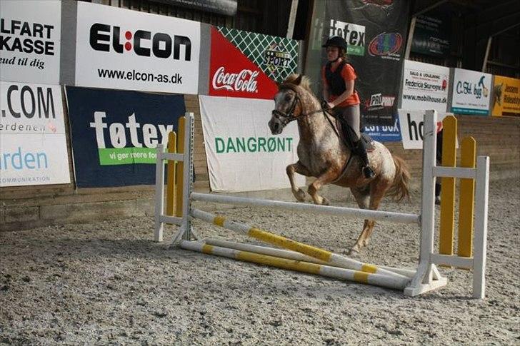 Anden særlig race Jolly Jumper - Jolly og mig springer ca. 70 cm. Meget stolt :D
Fotograf: Marie Louise billede 1