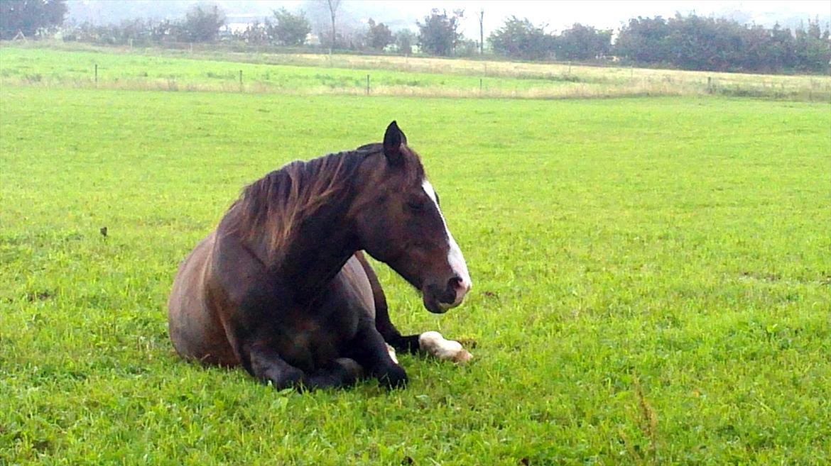 Oldenborg LARSEN - 31/08 - 2011: Foto - Mig billede 3