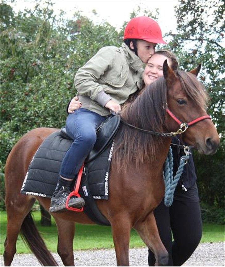 Gotlandsruss Hellestruplunds Geena (lånehest) - Godt team <3 billede 8