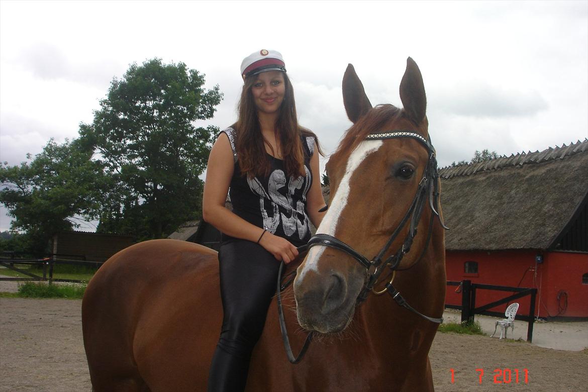 Dansk Varmblod Grøndalgaard's Nobless - Mig på min fantastiske hest, da jeg lige var blevet student i juni 2011. billede 4