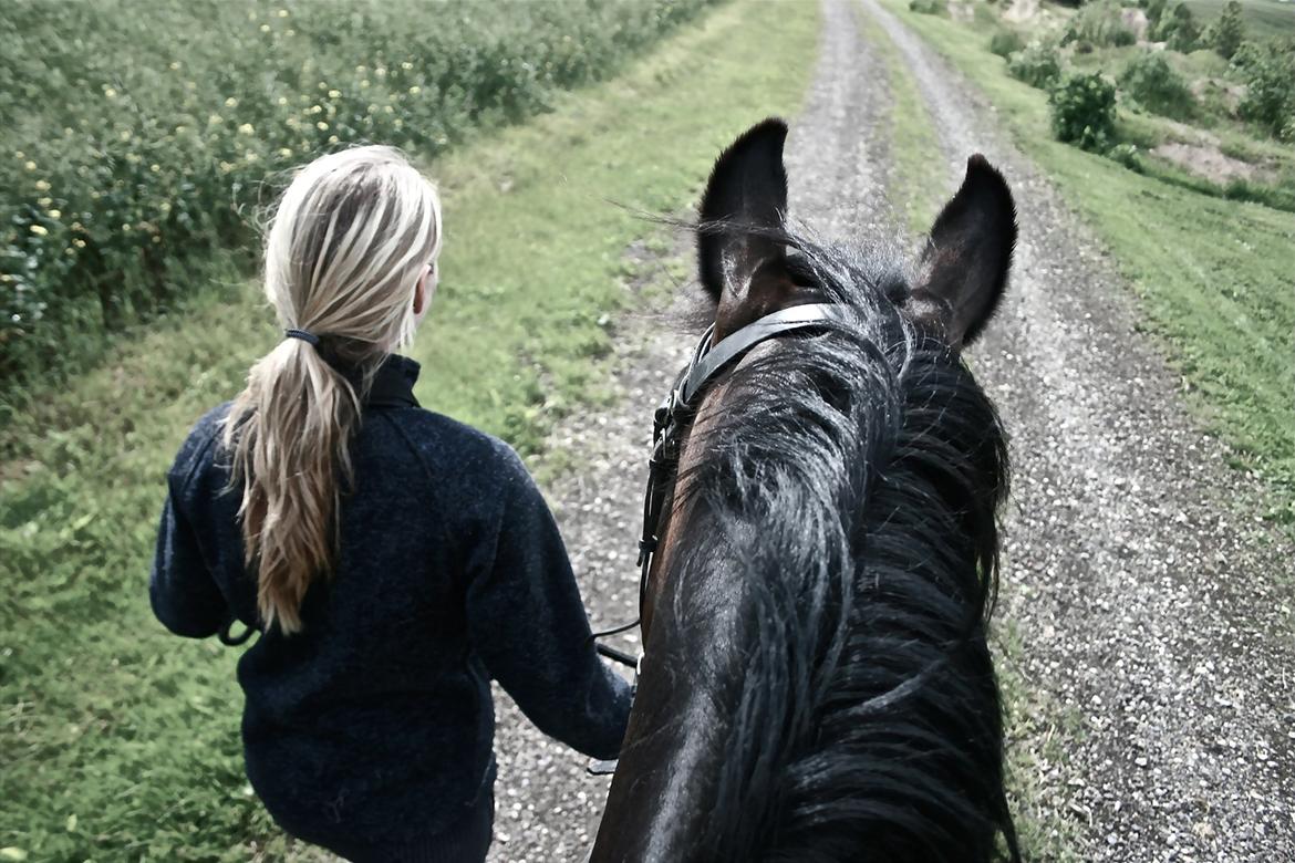 New Forest Elmholts Monique - På tur :) billede 2