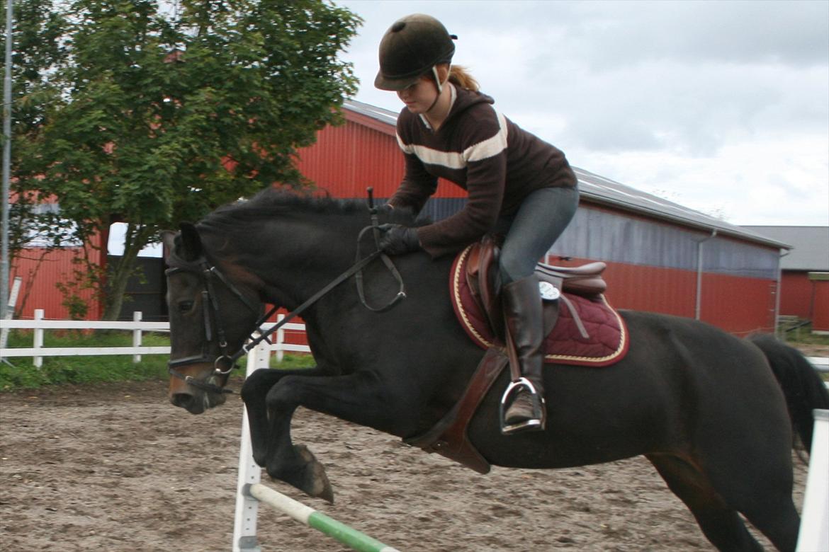 New Forest Elmholts Monique - Nadia og Monique :) billede 5