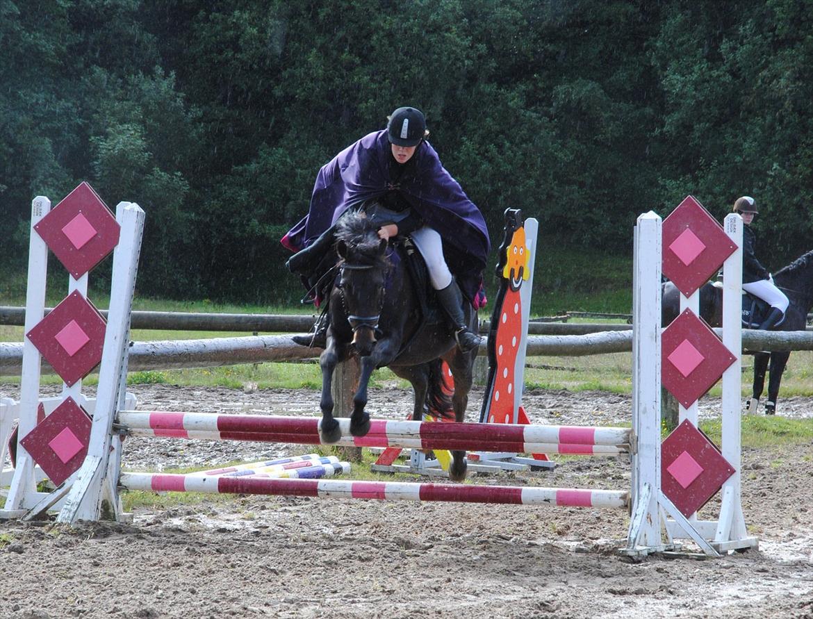 New Forest Elmholts Monique - Kostumespringning STR billede 6