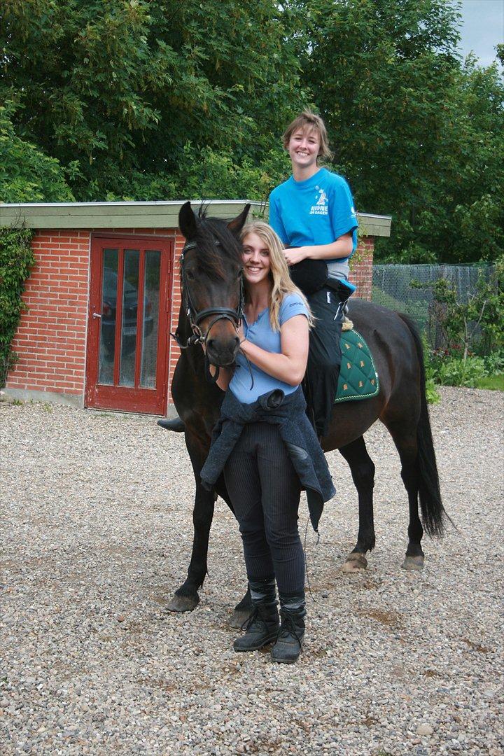 New Forest Elmholts Monique billede 9