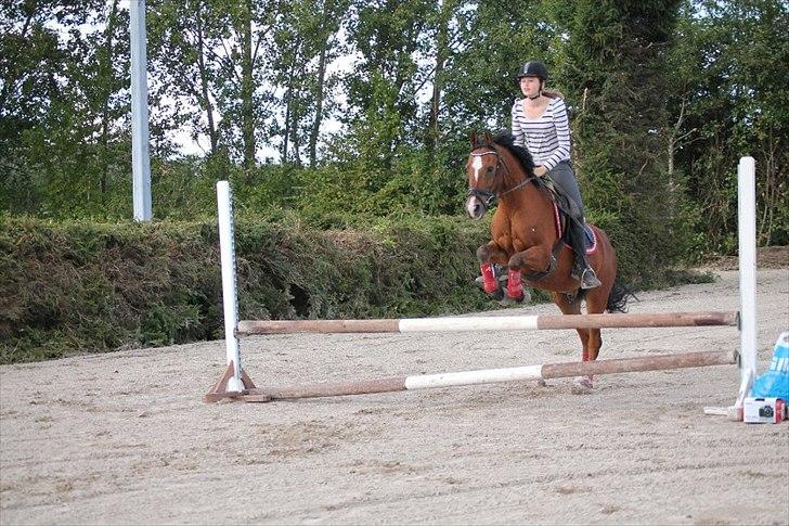 DSP Passion * Palle* - 01-09-11 billede 16