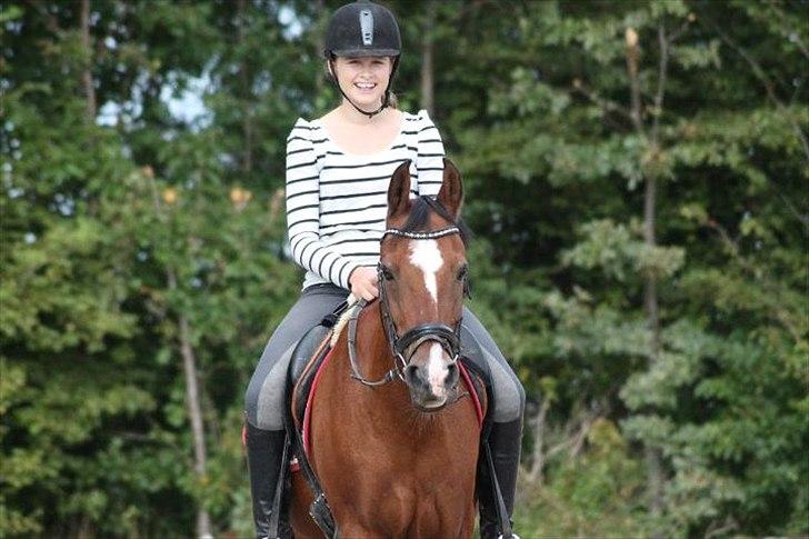 DSP Passion * Palle* - 01-09-11 billede 4