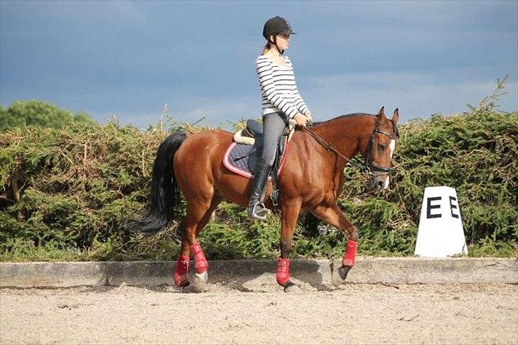 DSP Passion * Palle* - 01-09-11 billede 18