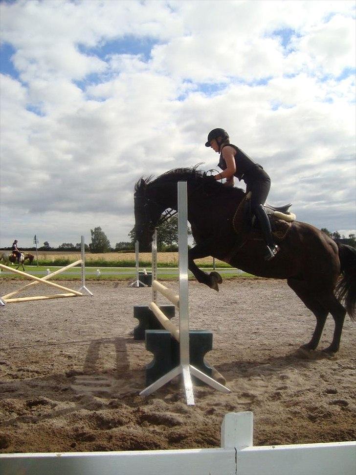 Anden særlig race Amigo - Mit eventyr - Så er vi begyndt på spring træning til jagten. Der er nu meget der skal arbejdes med, men han eeeelsker det og springer alt hvad jeg har sat foran ham! :-D billede 7