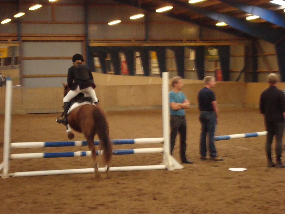 Anden særlig race Summer - til 30 års jubilærum på sydthy rideklub!"<3 vi var bare så gode!"<3
elsker dig summer!<33
2011 billede 6