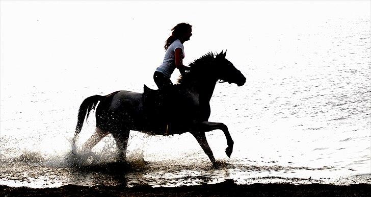 Pinto Munkeborgs Cloudy B-pony - Der findes kun én kærlighed, men tusindvis af kopier. Du er min kærlighed Cloudy <3 billede 5