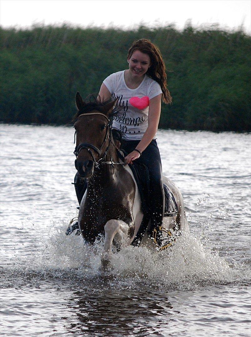 Pinto Munkeborgs Cloudy B-pony - DET er kærlighed <3 billede 16