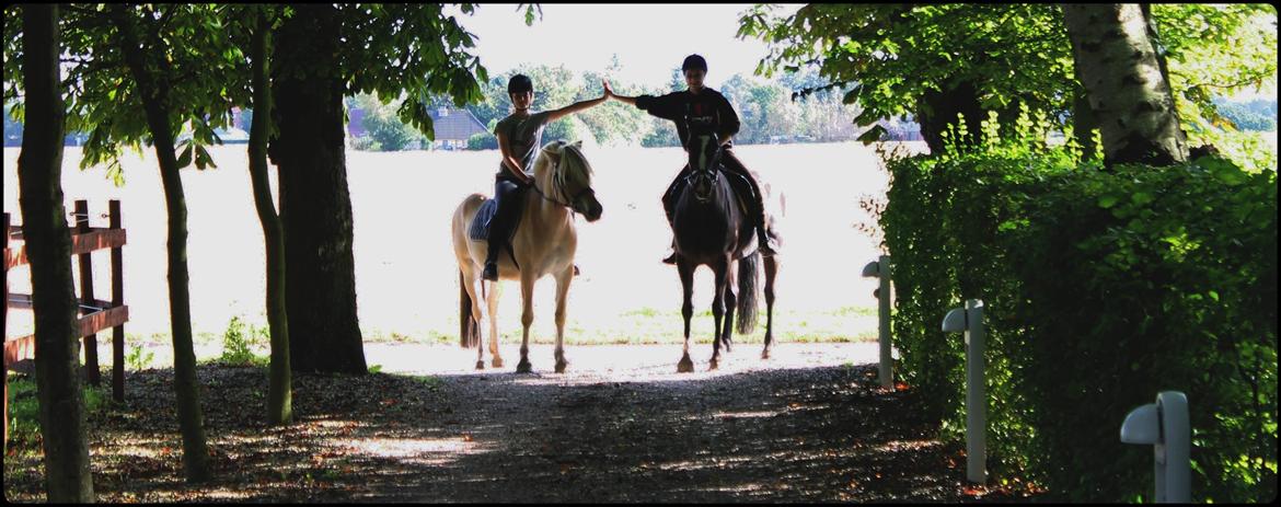 Anden særlig race Poseidon billede 14