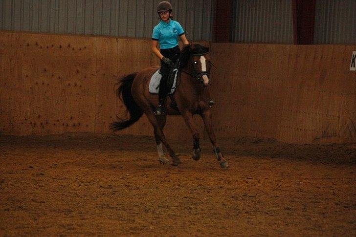 DSP Sønderlund Sharon - Foto: Foto Malene Petersen billede 11