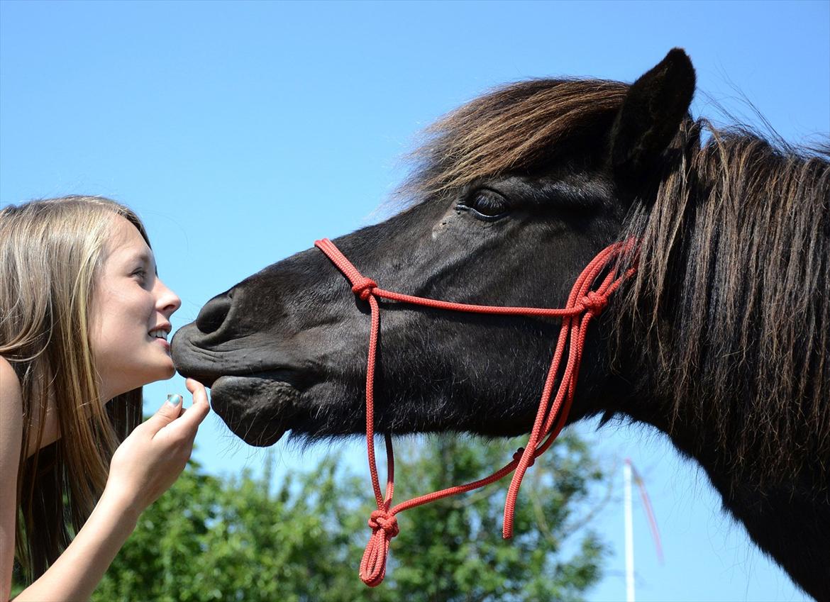 Islænder Steina <3 - Elsker du skønhed, så elsk ikke mig, for alle i verden, er skønnere end jeg. Elsker du rigdom, så elsk ikke mig, for alle i verden, er rigere end jeg. Men elsker du kærlighed, så elsk kun mig, for ingen i verden, elsker dig højere end jeg. ~Trick: Kysse.  billede 17