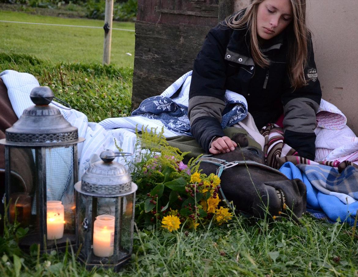 Islænder Steina <3 - Du vil altid have den største plads i mit hjerte. Jeg lover dig at vi mødes igen en dag! Jeg vil altid elske dig Steina, min bedste ven igennem alt. (-': <3<3.  billede 19