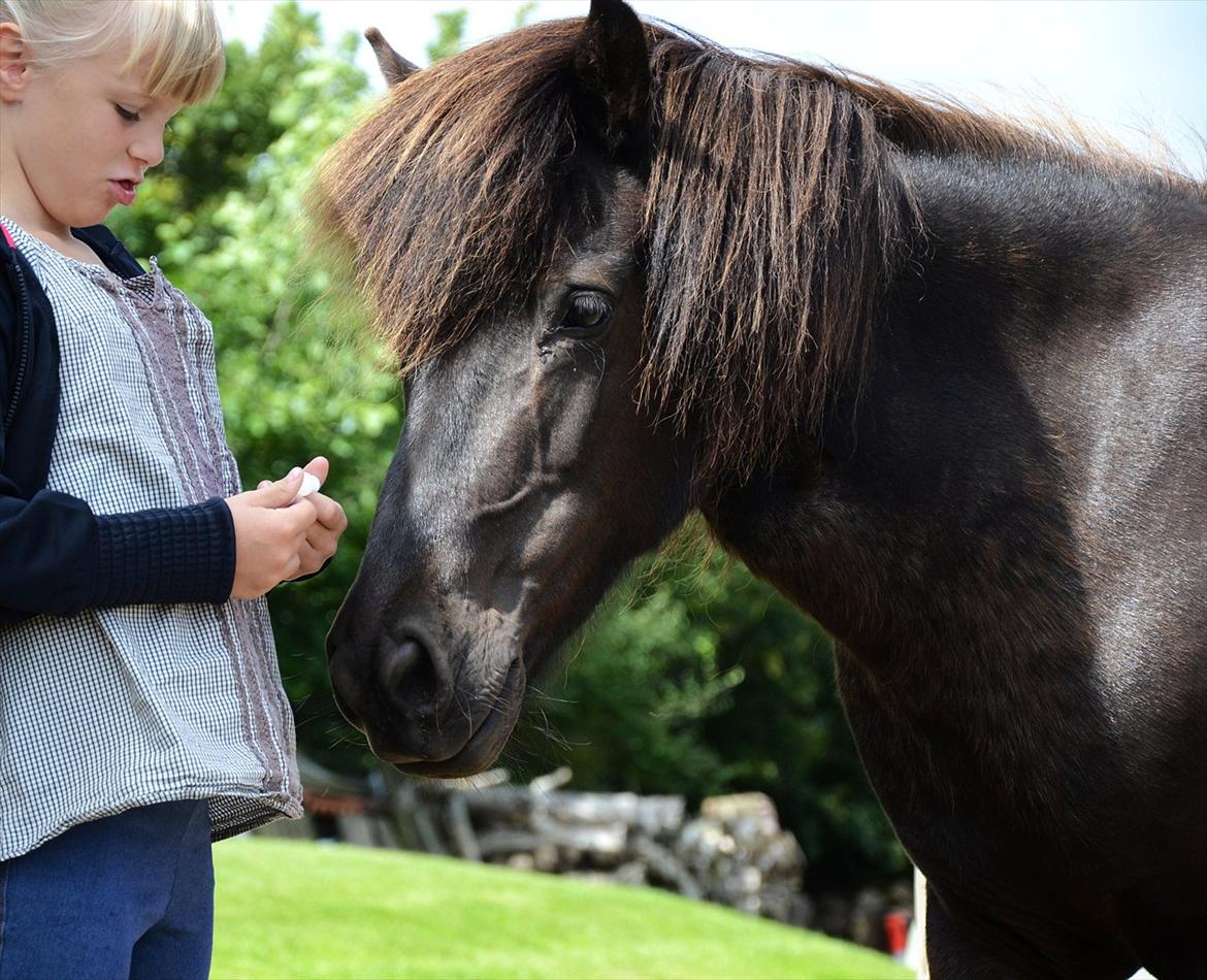 Islænder Steina <3 - Love is not look with the eyes, but with the heart and soul. - Det her billede får så let tårene frem hos mig. Det er sådan her jeg husker Steina, så fantastisk god, smuk, fantastisk, ja, hun er ubeskrivelig. (-': det er os igennem alt! <3<3. billede 18