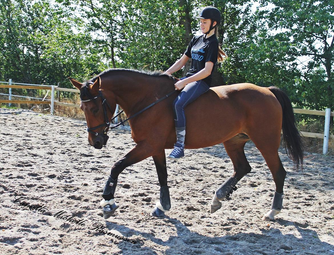 Traver Topper ;-) billede 19