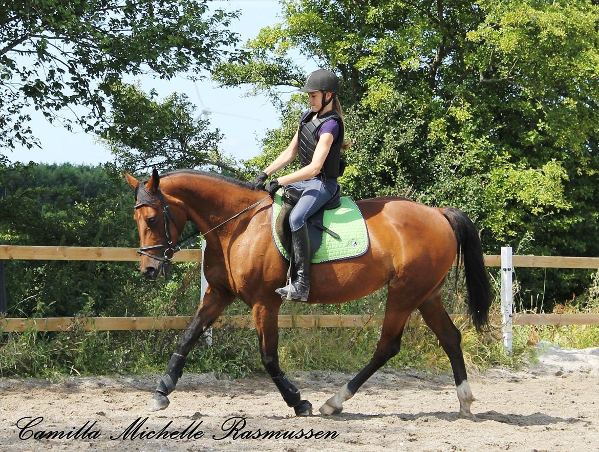 Traver Topper ;-) billede 20