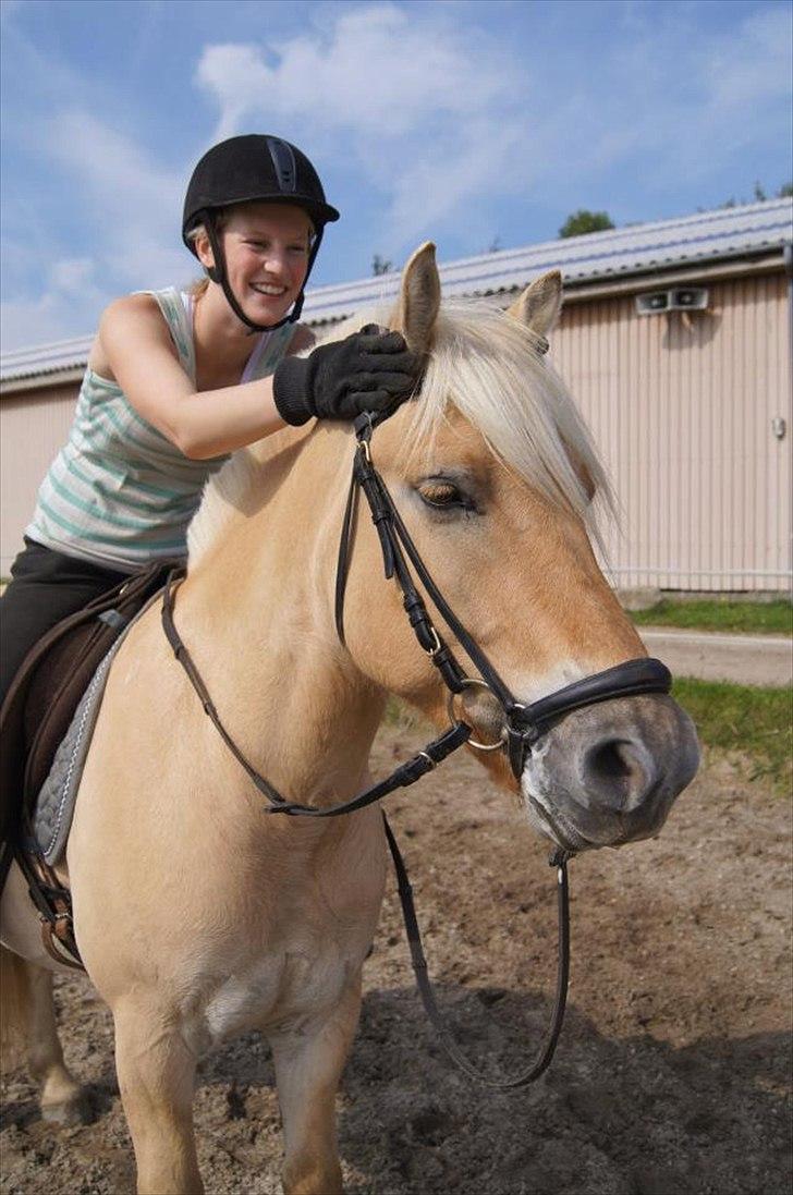 Fjordhest Ricko Fjordvang - Billedet er taget af Freja Voetmand.  billede 10
