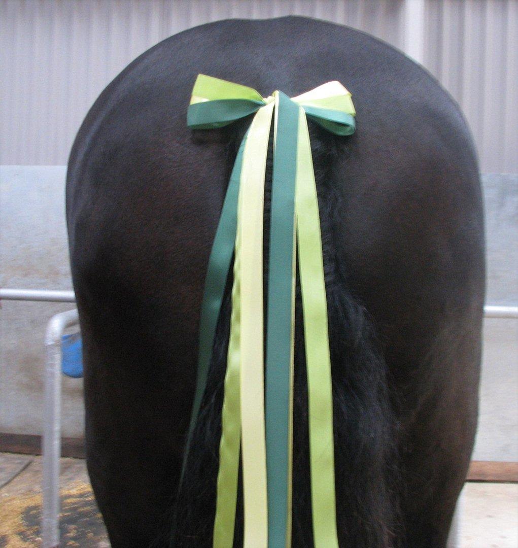 Frieser Oukje (Nellie) - Fin sløjfe:) billede 14