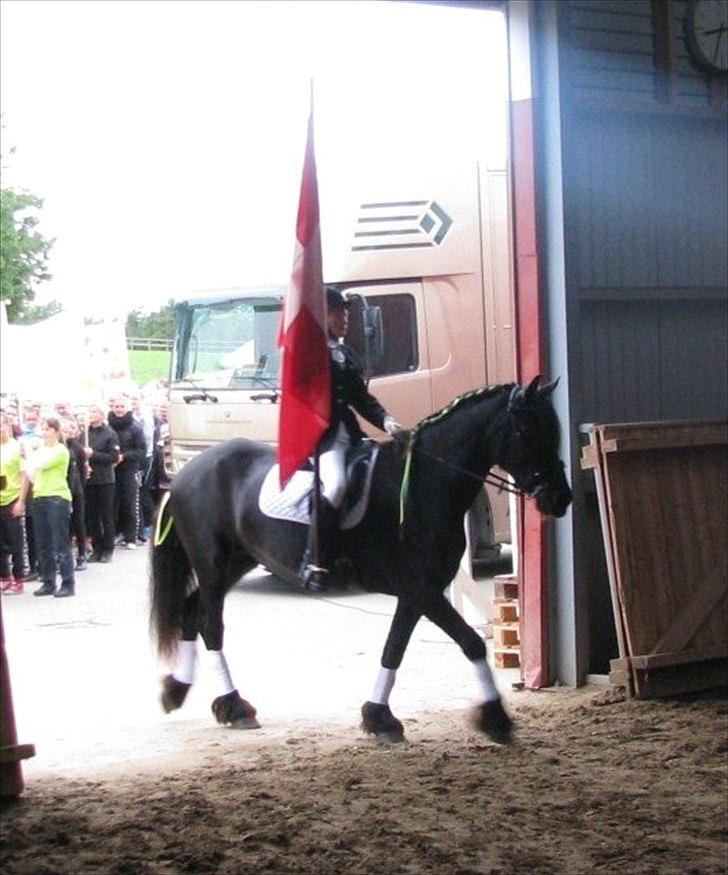 Frieser Oukje (Nellie) - Faebærer ved Voltige stævne 2011:) billede 15