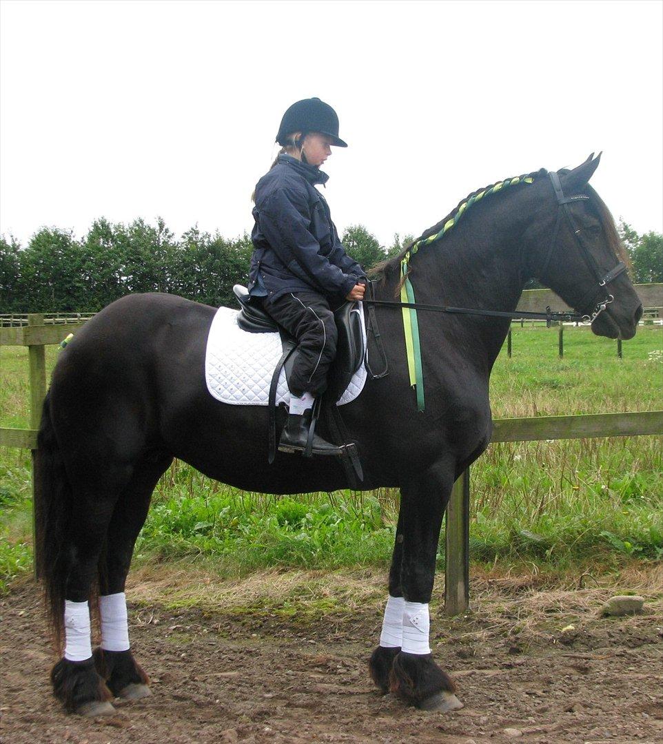 Frieser Oukje (Nellie) - Louise (10 år) og Nellie billede 2